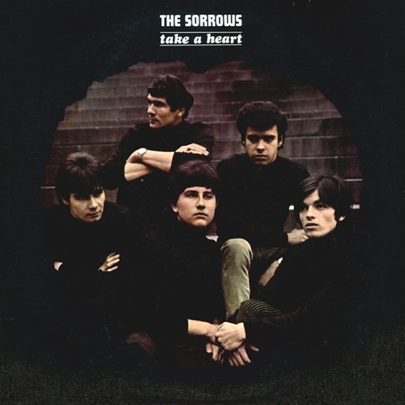 TAKE A HEART by The Sorrows (1965)