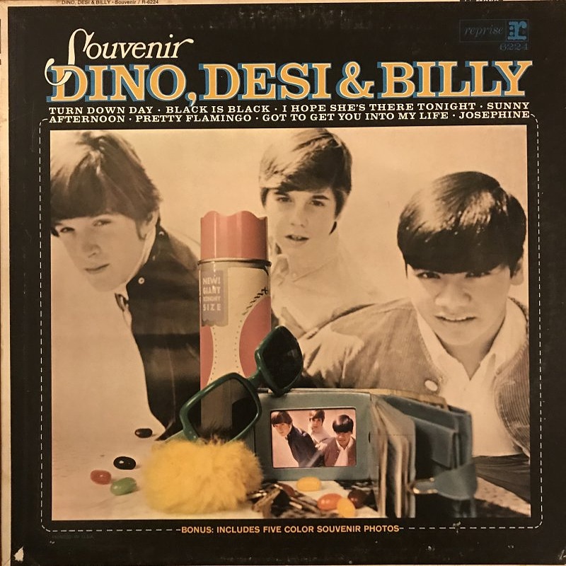 SOUVENIR by Dino, Desi And Billy (1966)