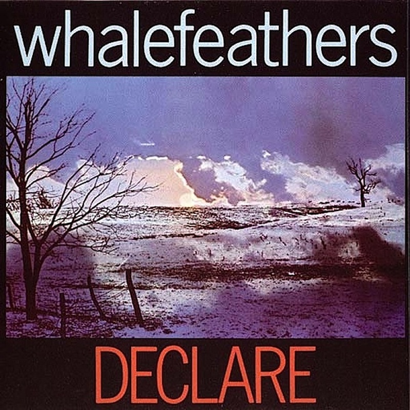 Whalefeathers / DECLARE (Nasco) 1970