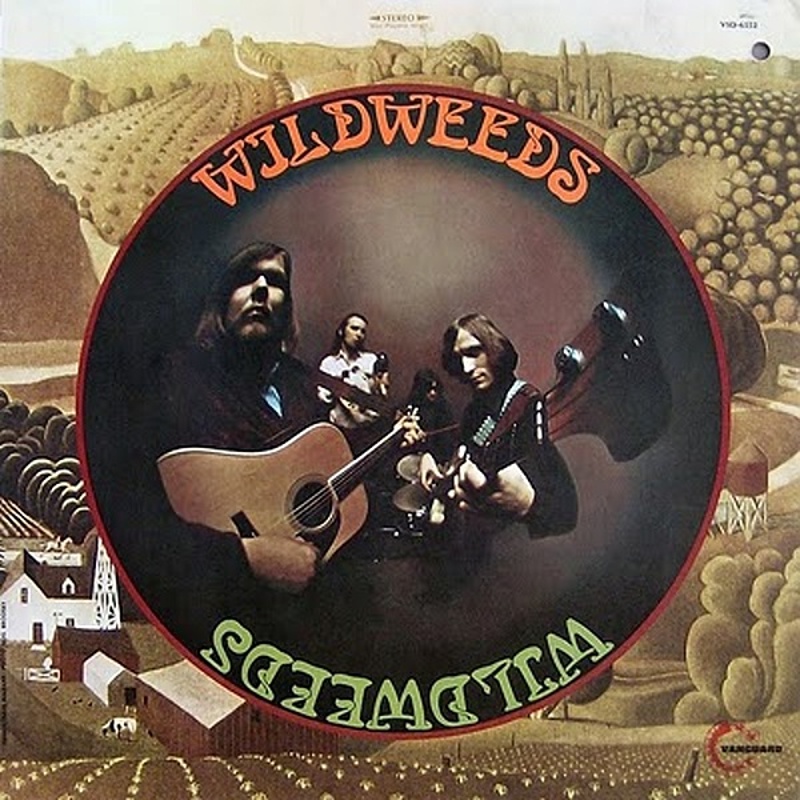 Wildweeds / WHITE WITCH (Capricorn) 1972