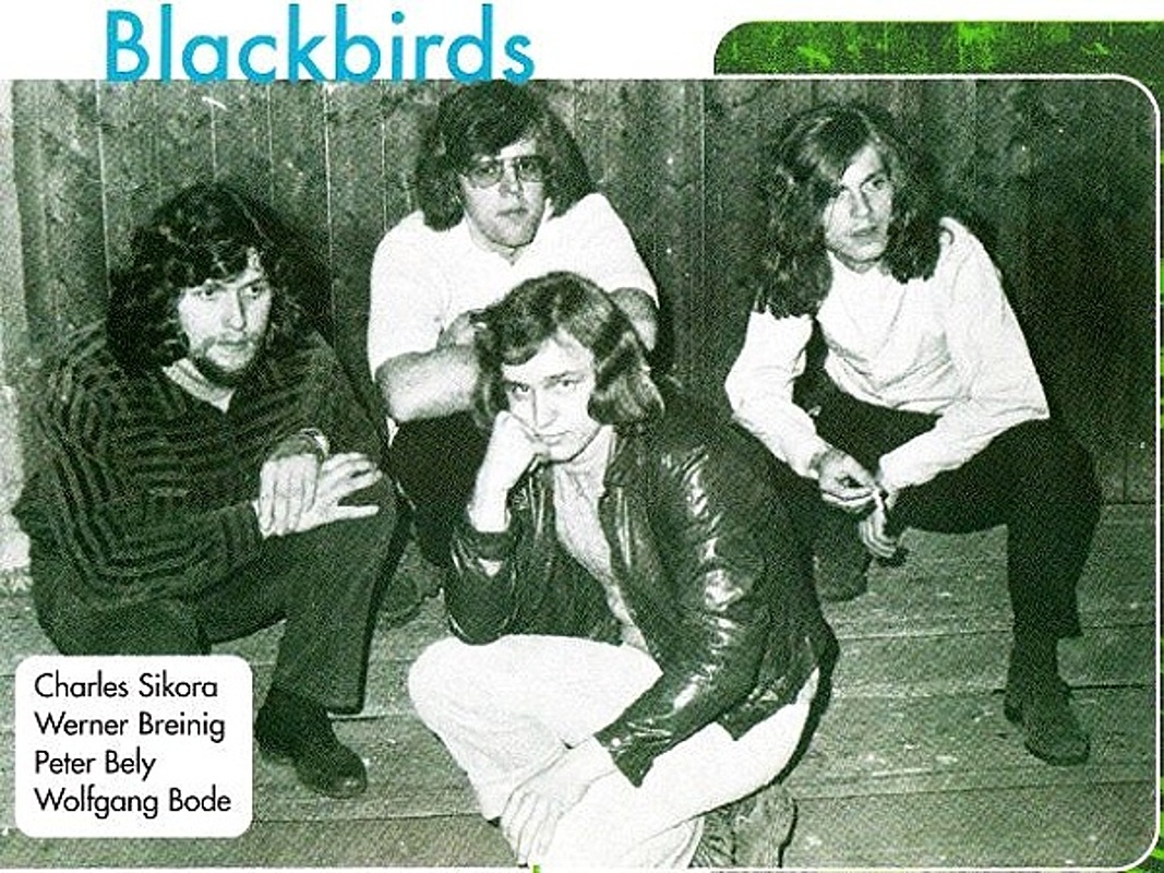 Blackbirds (Germany)
