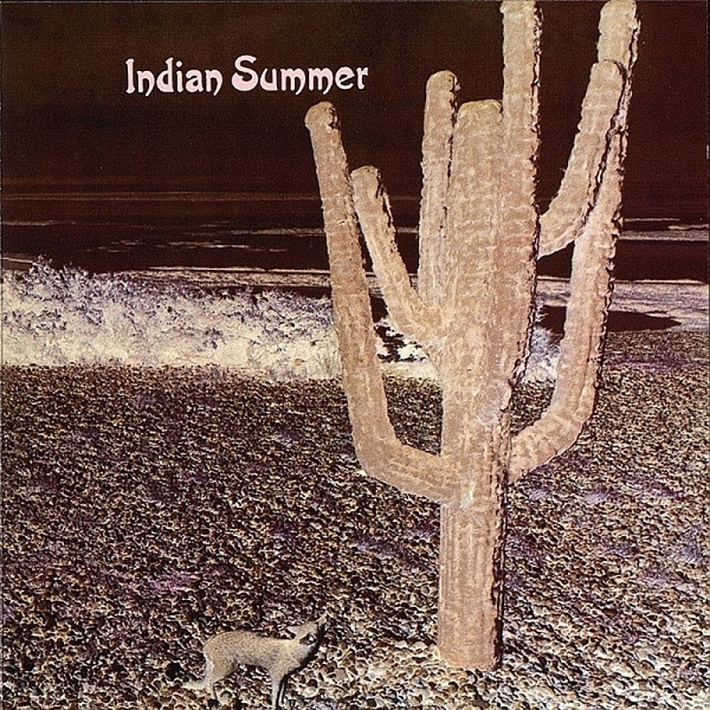 Indian Summer / INDIAN SUMMER (RCA Neon) 197
