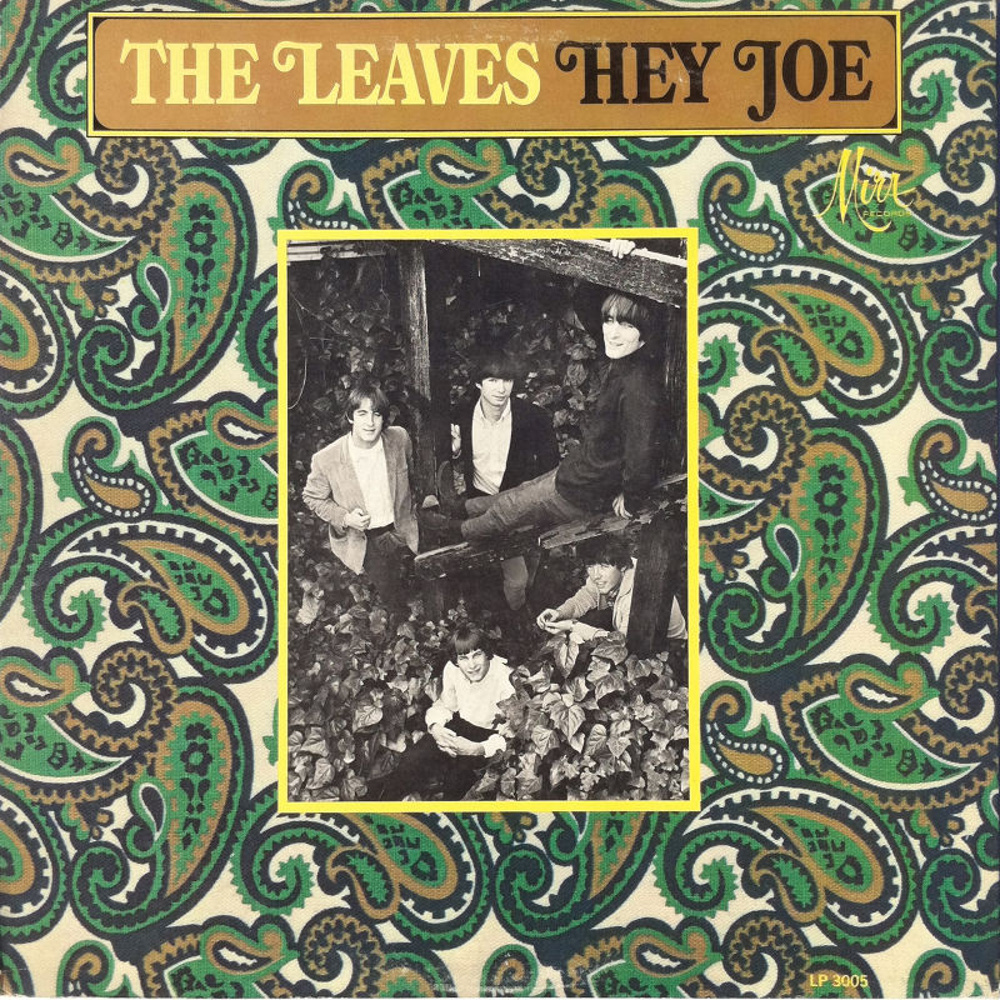 The Leaves / HEY JOE (Mira) 1966