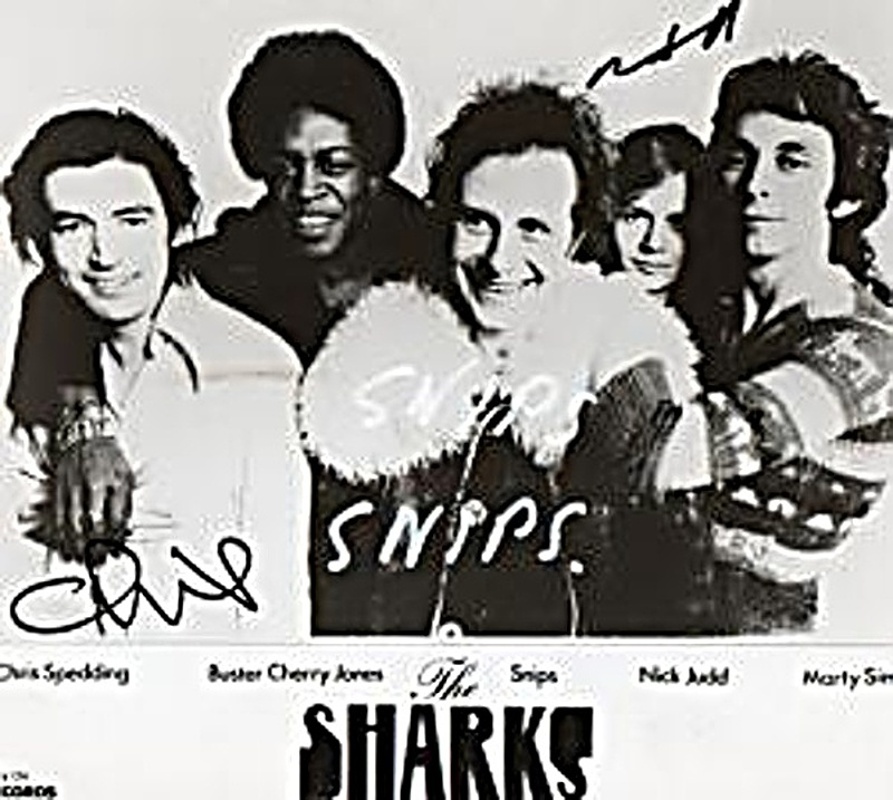 The Sharks (UK)